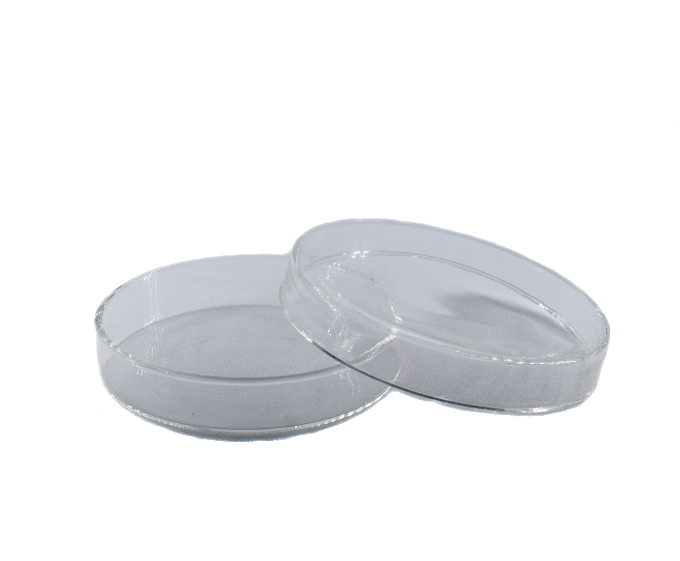 caja-petri-de-plastico-65mm-x-15mm-poliestireno